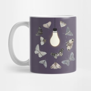 Moths to a Light Mug